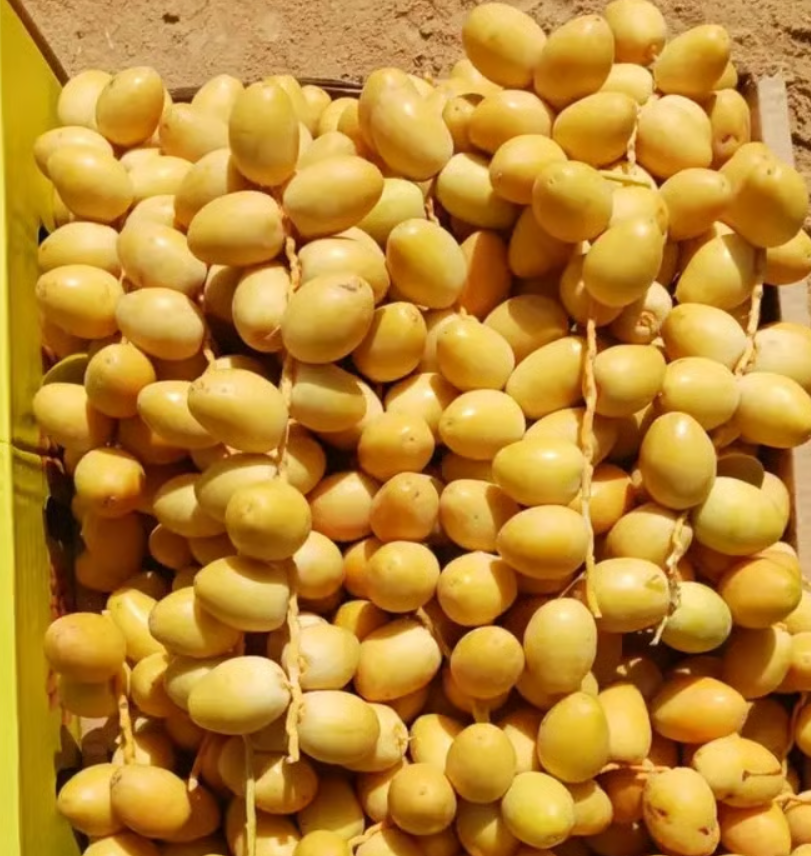 Quality certifications